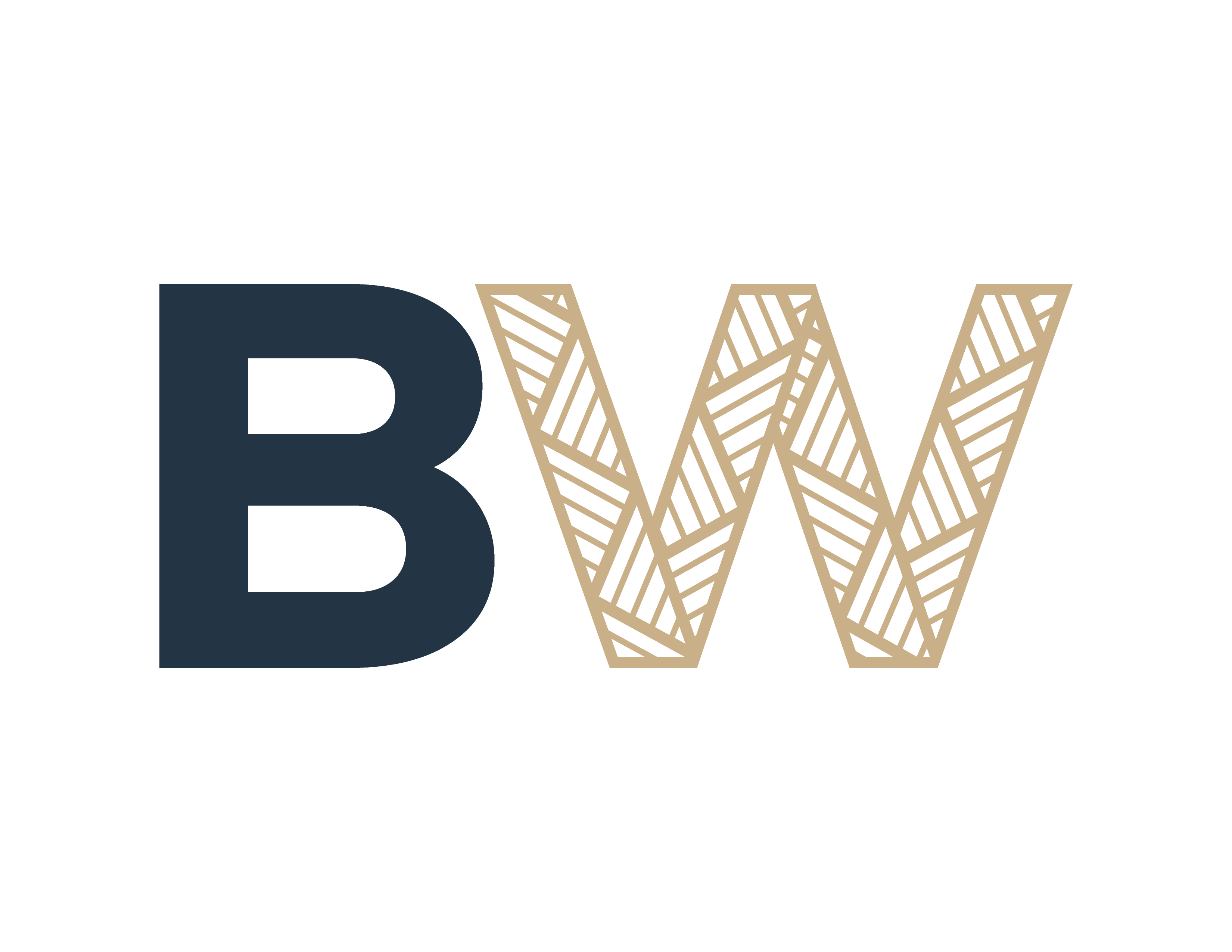 Blackwell Government Solutions logo